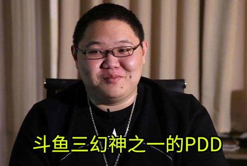小智撕pdd视频,精彩瞬间引网友热议